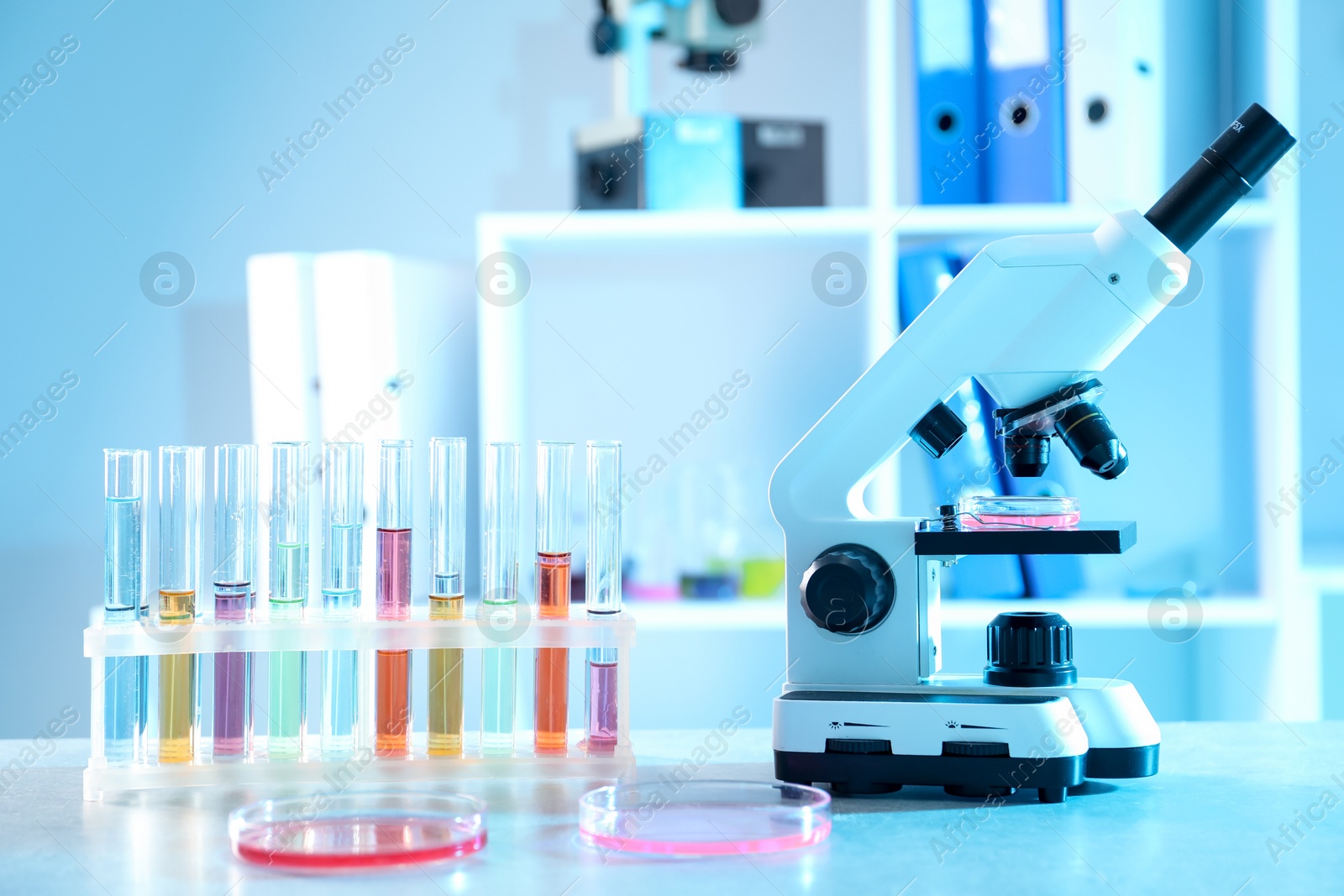 Photo of Petri dishes with different samples, test tubes and microscope on table in laboratory. Solution chemistry