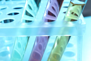 Photo of Test tubes with different samples on table, closeup. Solution chemistry