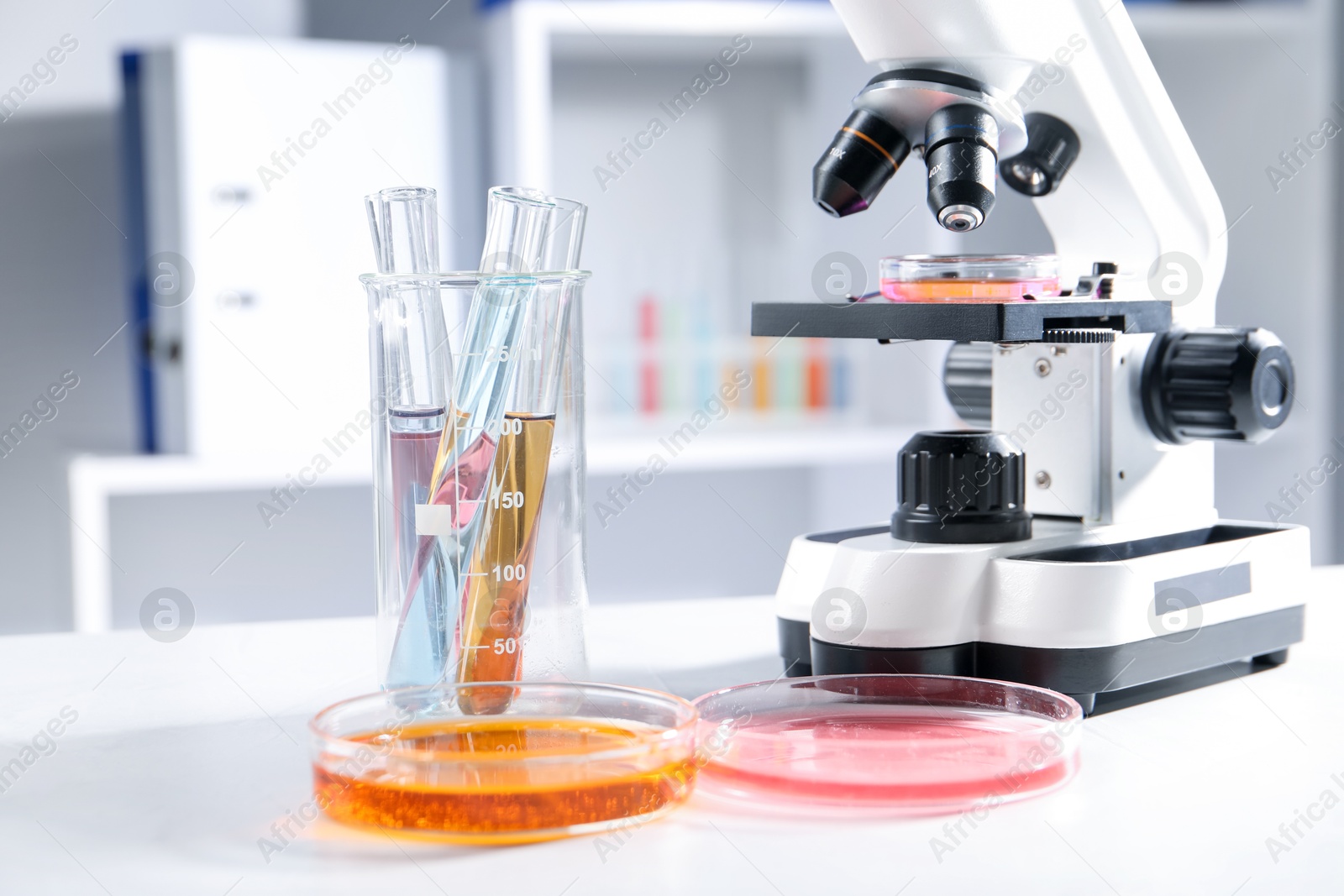 Photo of Petri dishes with different samples, test tubes and microscope on white table in laboratory, closeup. Solution chemistry
