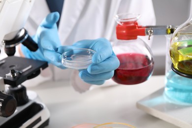 Photo of Scientist holding Petri dish with sample at white table in laboratory, closeup. Solution chemistry