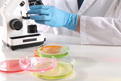 Photo of Scientist working with microscope at white table and Petri dishes of color liquids in laboratory, closeup. Solution chemistry