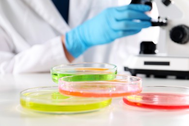Photo of Scientist working with microscope at table indoors, focus on Petri dishes with color liquids. Solution chemistry