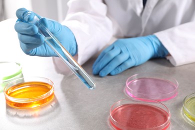 Photo of Scientist with test tube of sample at grey table in laboratory, closeup. Solution chemistry