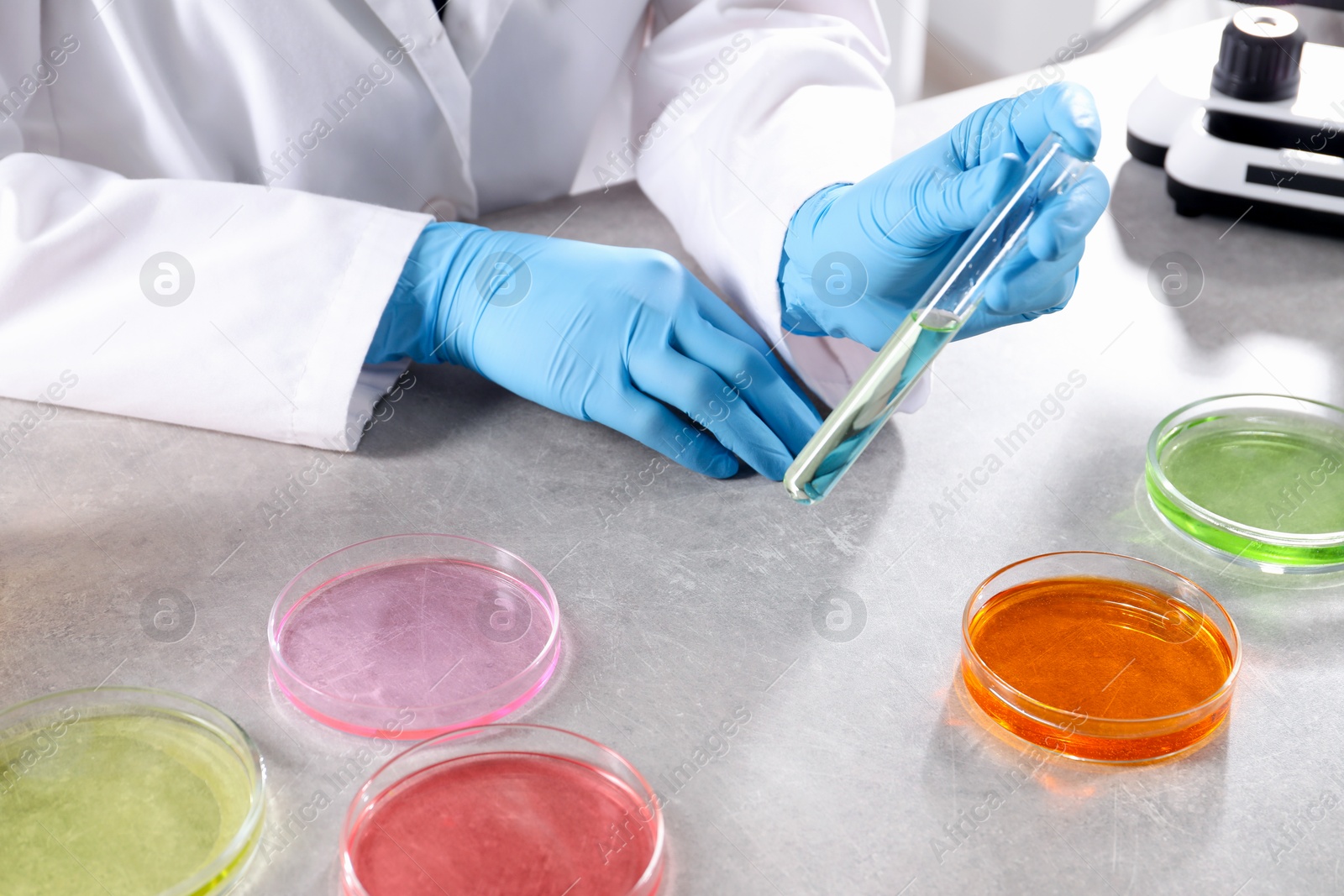 Photo of Scientist with test tube of sample at grey table in laboratory, closeup. Solution chemistry