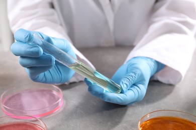 Photo of Scientist with test tube of sample at grey table in laboratory, closeup. Solution chemistry
