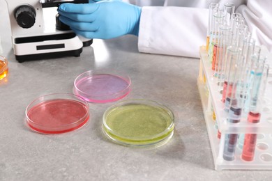 Photo of Scientist working with microscope at grey table with Petri dishes of different samples and test tubes in laboratory, closeup. Solution chemistry
