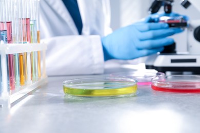 Photo of Scientist examining sample under microscope at grey table in laboratory, focus on Petri dishes with color liquids and test tubes. Solution chemistry