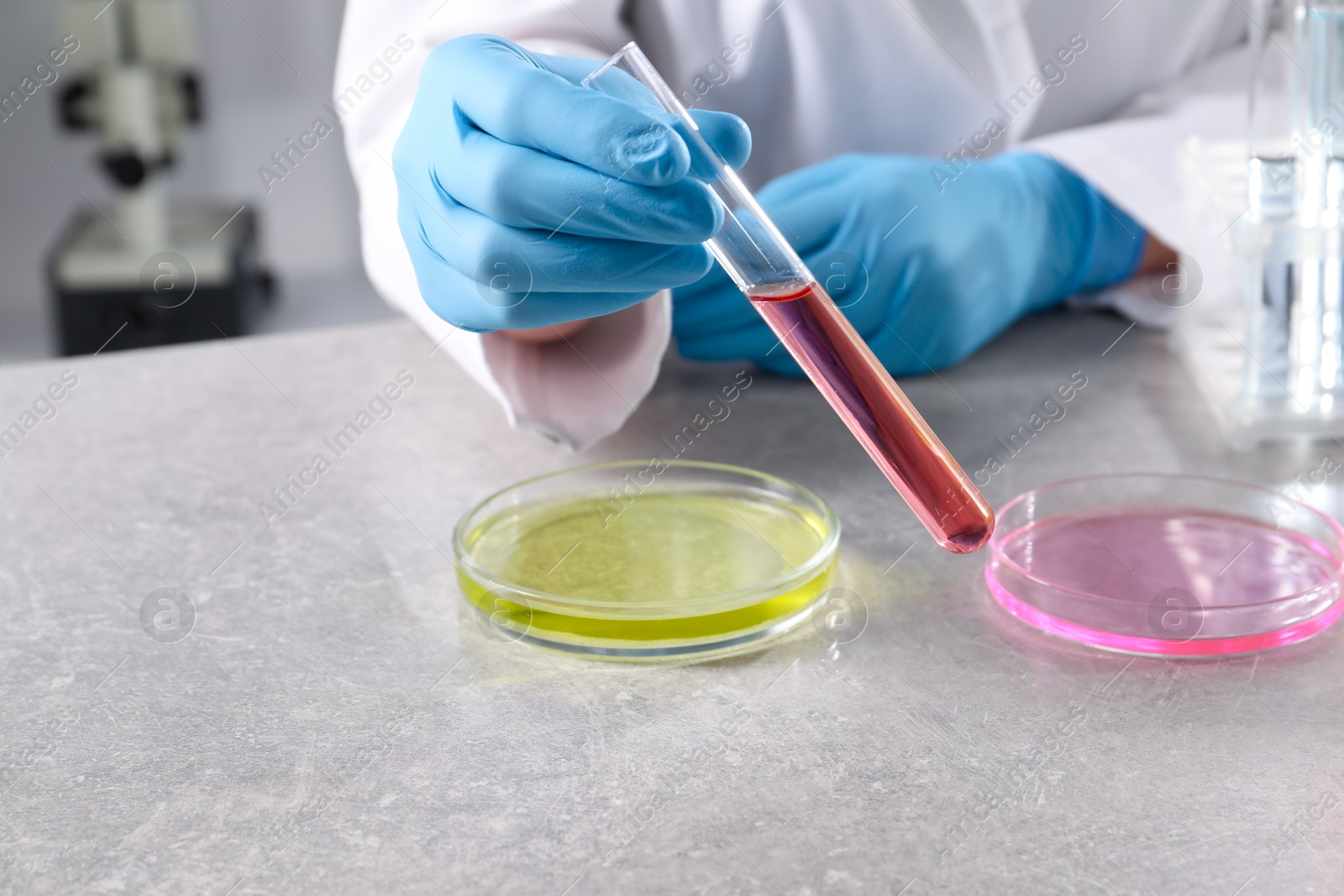 Photo of Scientist with test tube of sample at grey table in laboratory, closeup. Solution chemistry