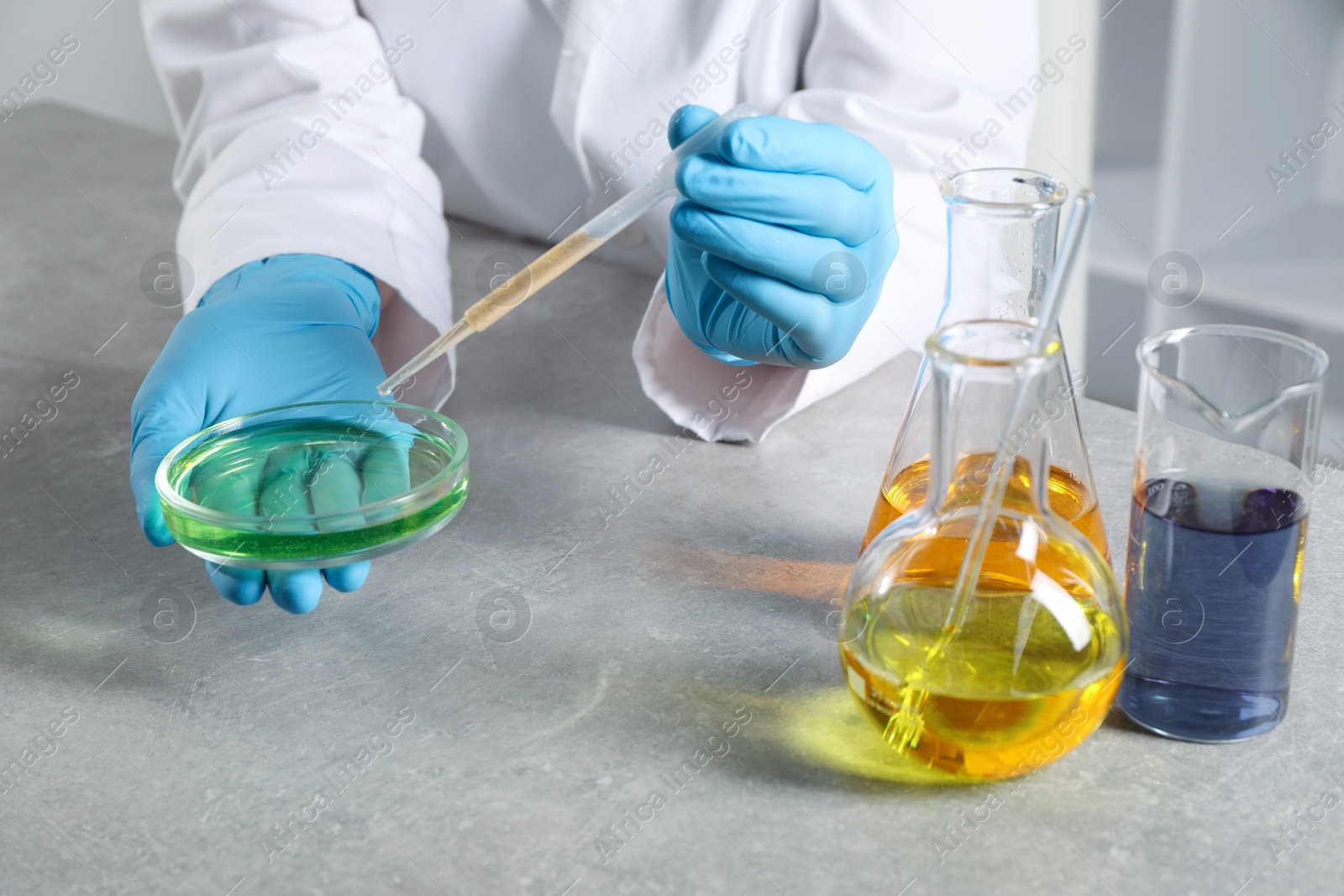 Photo of Scientist with pipette dripping sample into Petri dish at grey table in laboratory, closeup. Solution chemistry