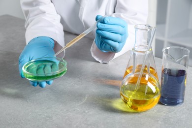 Photo of Scientist with pipette dripping sample into Petri dish at grey table in laboratory, closeup. Solution chemistry
