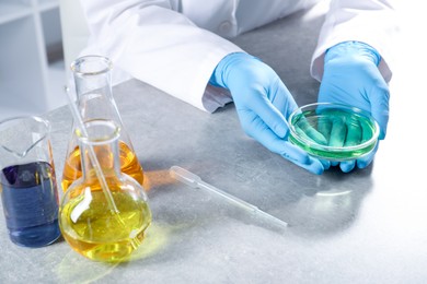 Photo of Scientist holding Petri dish with sample at grey table in laboratory, closeup. Solution chemistry