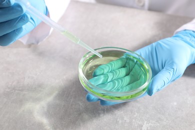 Photo of Scientist holding Petri dish with sample and pipette at grey table in laboratory, closeup. Solution chemistry