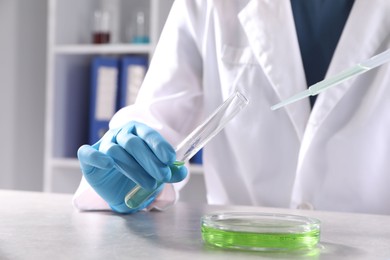 Photo of Scientist with test tube and pipette dripping sample into Petri dish at grey table in laboratory, closeup. Solution chemistry