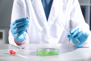 Photo of Scientist with test tube and pipette dripping sample into Petri dish at grey table in laboratory, closeup. Solution chemistry