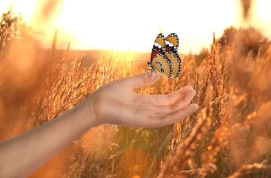 Image of Hope. Child holding butterfly on hand in field, closeup