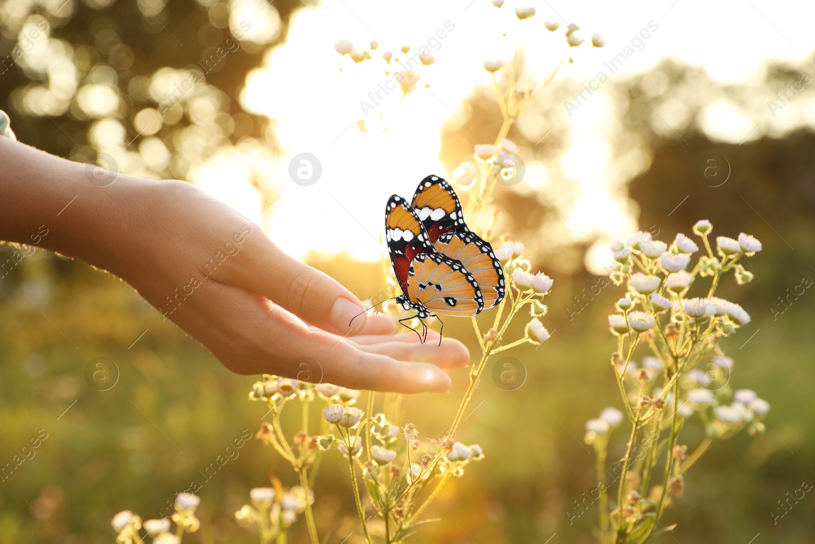 Image of Hope. Woman holding butterfly on hand in nature, closeup