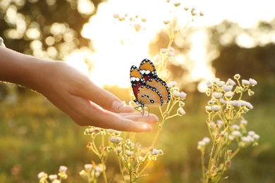 Image of Hope. Woman holding butterfly on hand in nature, closeup