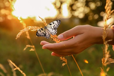 Image of Hope. Woman touching plant where sitting butterfly in nature, closeup