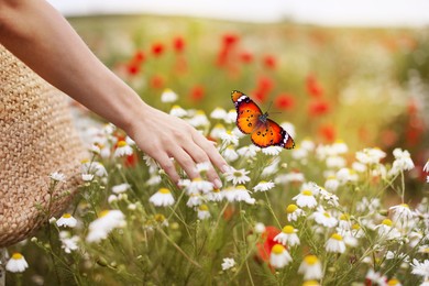 Image of Hope. Woman and flying butterfly in nature, closeup