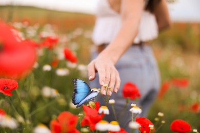 Image of Hope. Woman and butterfly in nature, closeup
