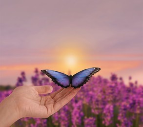 Image of Hope. Woman holding butterfly on hand in nature at sunrise, closeup