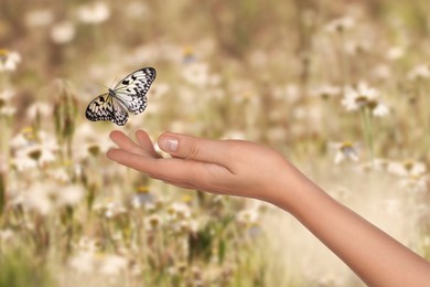 Image of Hope. Butterfly flying from woman's hand in nature, closeup
