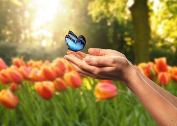 Image of Hope. Woman holding butterfly on hands in nature, closeup