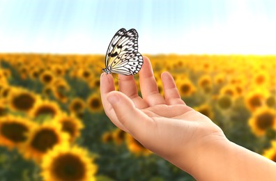 Image of Hope. Child holding butterfly on hand in sunflower field, closeup