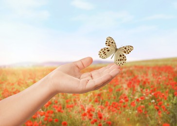 Image of Hope. Butterfly flying from child's hand in nature, closeup