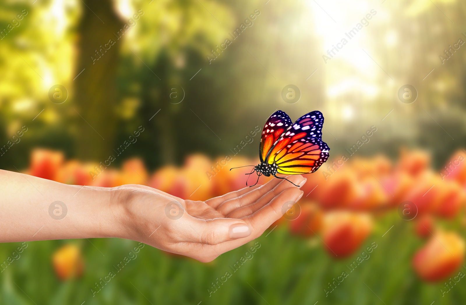 Image of Hope. Woman holding butterfly on hand in nature, closeup