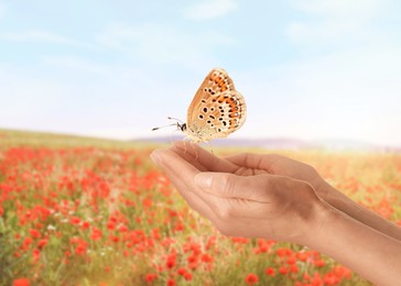 Image of Hope. Woman holding butterfly on hands in nature, closeup