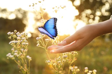 Image of Hope. Woman touching plant where sitting butterfly in nature, closeup