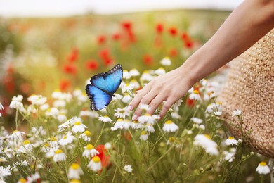 Image of Hope. Woman and butterfly in nature, closeup