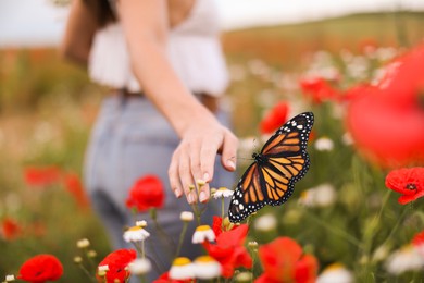 Image of Hope. Woman and flying butterfly in nature, closeup