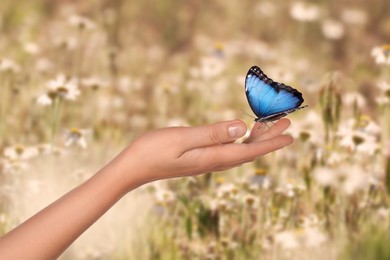 Image of Hope. Woman holding butterfly on hand in nature, closeup
