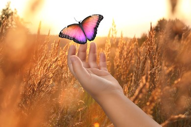 Image of Hope. Butterfly flying from child's hand in field, closeup