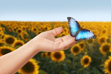 Image of Hope. Child holding butterfly on hand in sunflower field, closeup