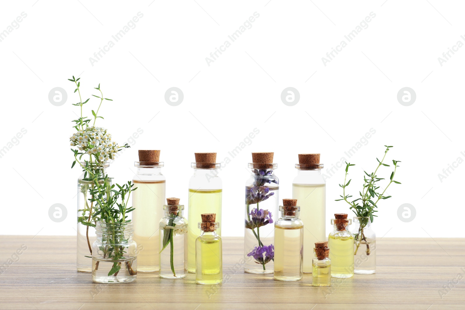 Bottles of essential oils and different herbs on wooden table against white background Photo of Bottles of essential oils and different herbs on wooden table against white background