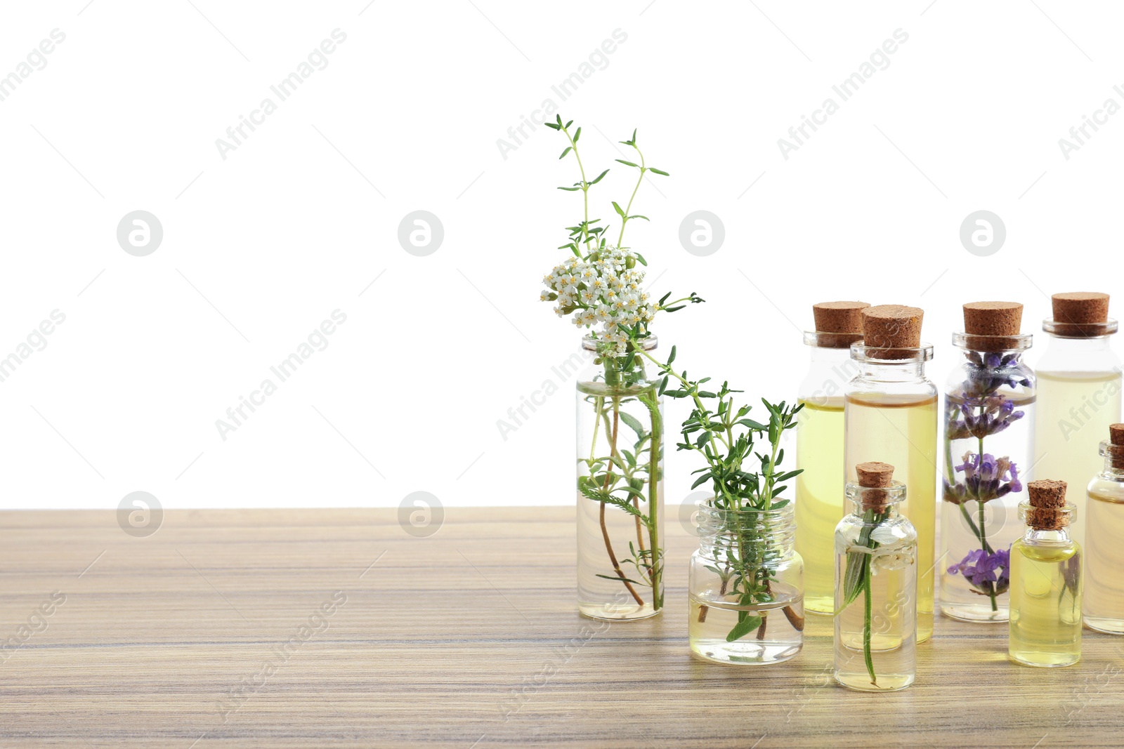 Bottles of essential oils and different herbs on wooden table against white background Photo of Bottles of essential oils and different herbs on wooden table against white background