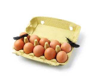 Photo of Raw chicken eggs and feathers in egg carton isolated on white
