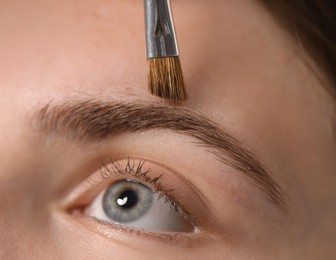 Photo of Young woman applying cosmetic product onto her eyebrow with brush, closeup