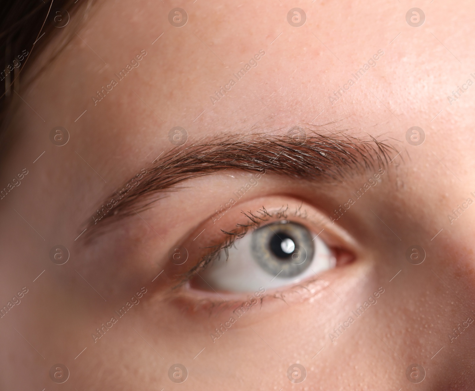 Photo of Eyebrow styling. Young woman with beautiful eyebrow, closeup