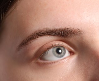 Photo of Eyebrow styling. Young woman with beautiful eyebrow, closeup