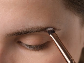 Photo of Young woman applying cosmetic product onto her eyebrow with brush, closeup