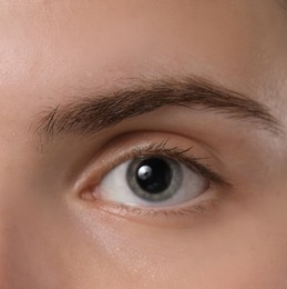 Photo of Eyebrow styling. Young woman with beautiful eyebrow, closeup