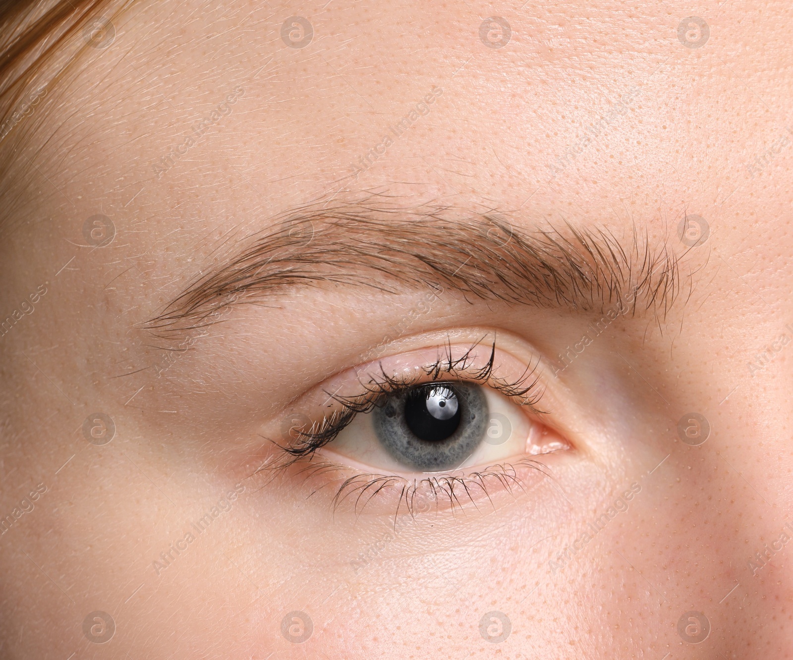 Photo of Eyebrow styling. Young woman with beautiful eyebrow, closeup