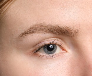 Photo of Eyebrow styling. Young woman with beautiful eyebrow, closeup