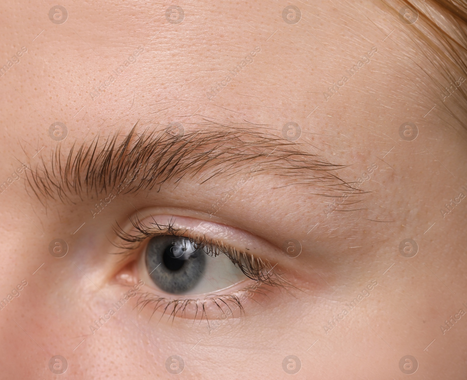 Photo of Eyebrow styling. Young woman with beautiful eyebrow, closeup