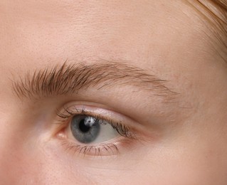 Photo of Eyebrow styling. Young woman with beautiful eyebrow, closeup