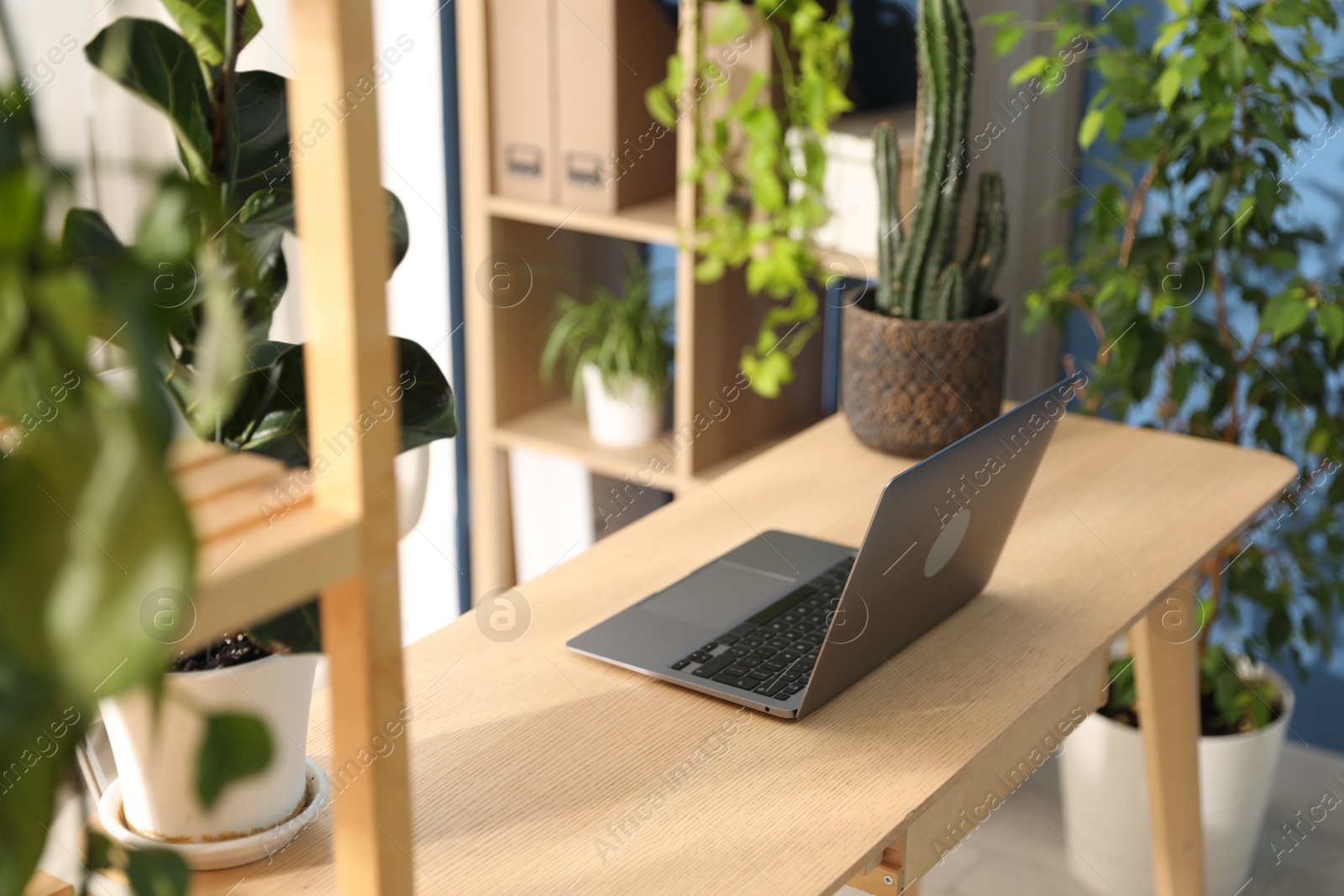 Stylish workplace with laptop on wooden desk and floral decor in office. Biophilic interior design Photo of Stylish workplace with laptop on wooden desk and floral decor in office. Biophilic interior design